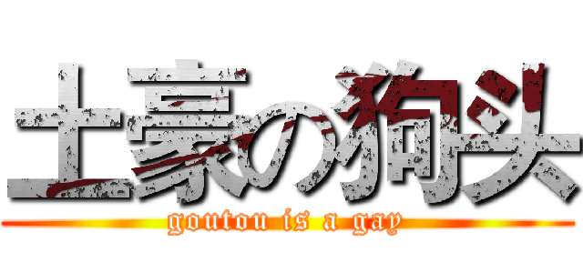 土豪の狗头 (goutou is a gay)