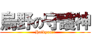 烏野の守護神 (Haikyuu!!)