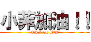 小菲加油！！ (attack on titan)