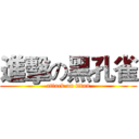 進擊の黑孔雀 (attack on titan)