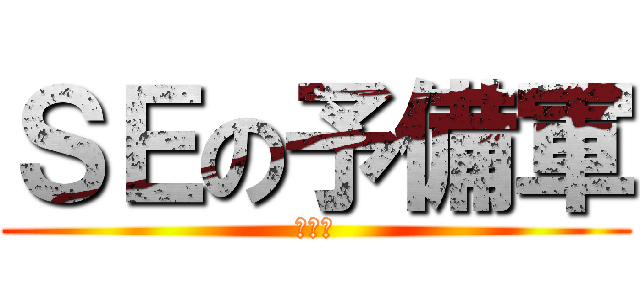 ＳＥの予備軍 (予備軍)