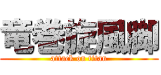 竜巻旋風脚 (attack on titan)