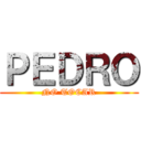 ＰＥＤＲＯ (NO TOCAR)