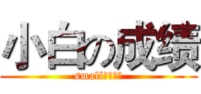 小白の成绩 (small白的秘密)