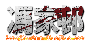 馮家邨 (FengJiaCun.TaoBao.com)