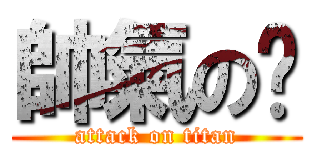 帥氣の玥 (attack on titan)