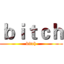 ｂｉｔｃｈ (bitch)