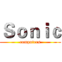 Ｓｏｎｉｃ (computers)