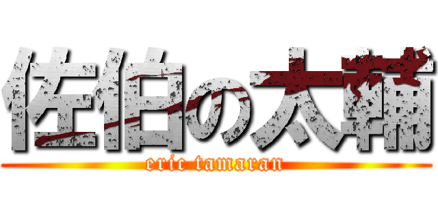 佐伯の太輔 (eric tamaran)