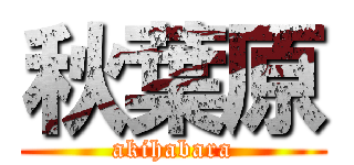 秋葉原 (akihabara)