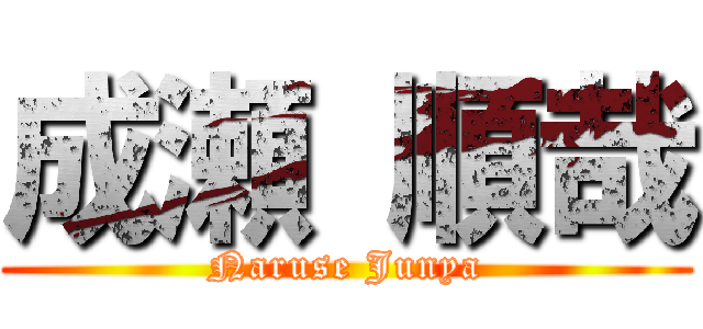 成瀬 順哉 (Naruse Junya)