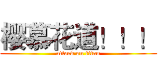 樱慕花道！！！ (attack on titan)
