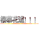 樱慕花道！！！ (attack on titan)