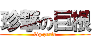 珍撃の巨根 (big penis)