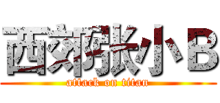 西郊张小Ｂ (attack on titan)