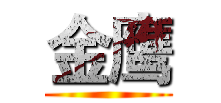 金鹰 ()
