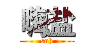 嗨盐 (snh)