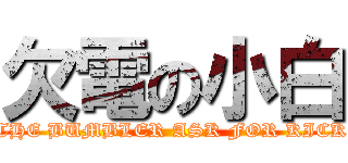 欠電の小白 (THE BUMBLER ASK FOR KICK)