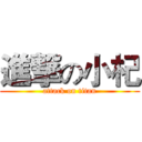 進撃の小杞 (attack on titan)