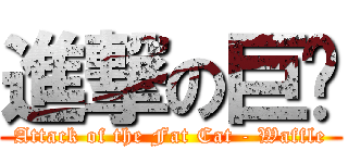 進撃の巨貓 (Attack of the Fat Cat - Waffle)