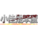 小佳是笨蛋 (attack on titan)