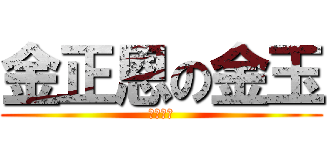 金正恩の金玉 (マジ汚い)