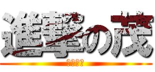 進撃の茂 (８月７日)