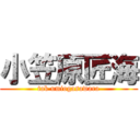 小笠原匠海 (tak umiogasawara)