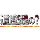 這麼醜の妞 ( so ungly girl)