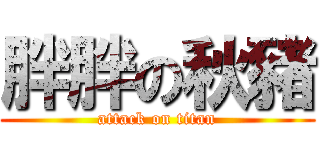 胖胖の秋豬 (attack on titan)