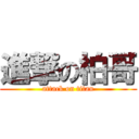 進撃の柏哥 (attack on titan)