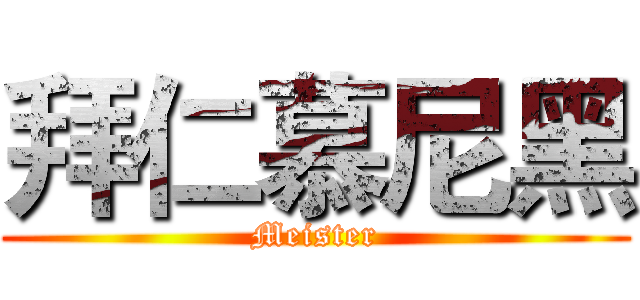 拜仁慕尼黑 (Meister)