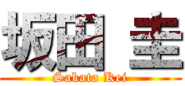 坂田 圭 (Sakata Kei)