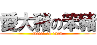 愛大豬の笨豬 (attack on titan)