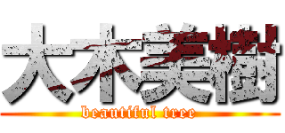 大木美樹 (beautiful tree)