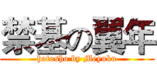 禁基の翼年 (hotosho by Meyuku)
