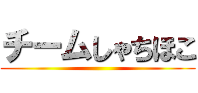 チームしゃちほこ ()