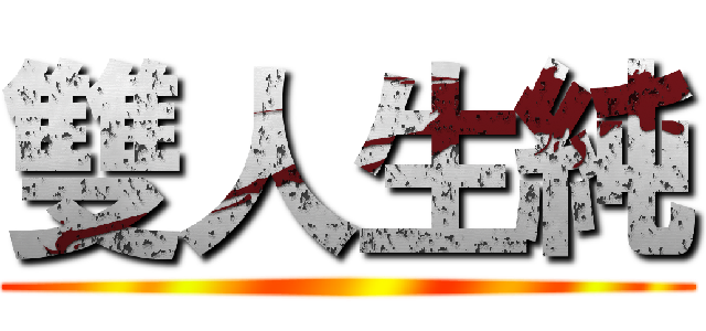 雙人生純 ()