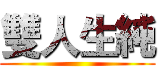 雙人生純 ()
