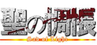 聖の惆悵 (Sad of Light)