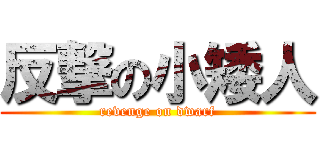 反撃の小矮人 (revenge on dwarf)