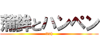 蒲鉾とハンペン (fish)