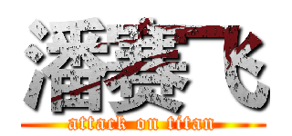 潘赛飞 (attack on titan)