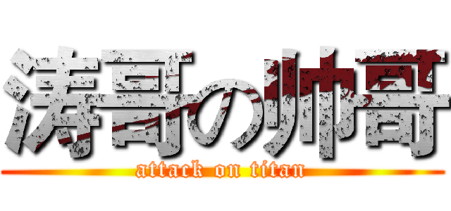 涛哥の帅哥 (attack on titan)