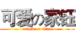可爱の家钰 (attack on titan)