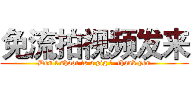 免流拍视频发来 (Don't shoot is a pig ，  thank you)