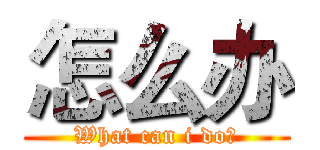 怎么办 (What can i do?)