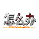 怎么办 (What can i do?)