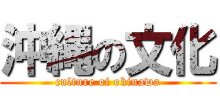 沖縄の文化 (culture of okinawa)