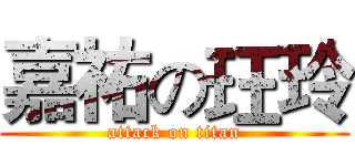 嘉祐の玨玲 (attack on titan)